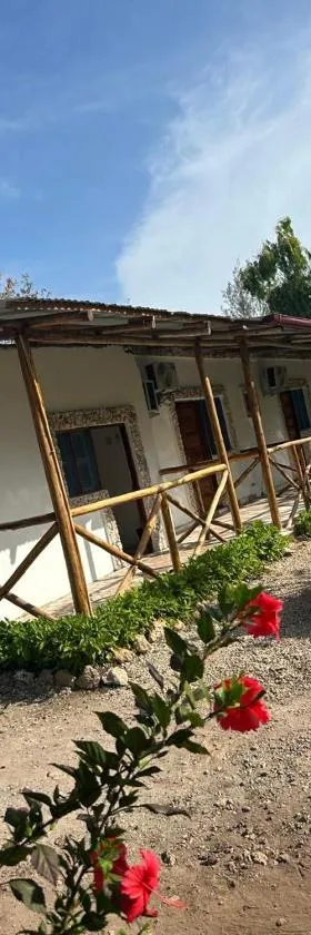 Zanzllywood Uroa Beach Apartments，位于Dikoni的酒店
