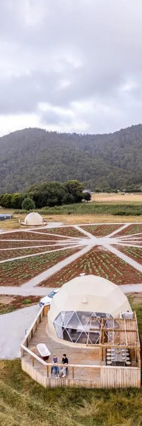 Mount Gnomon Farm，位于彭古因的酒店