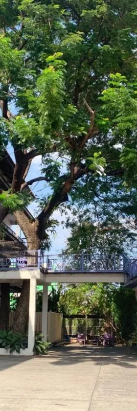 โรงแรมบ้านแก้ว เรือนขวัญ，位于四色菊的酒店