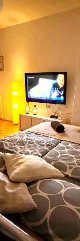 Stan na dan Zvornik Čauševac Centar grada，位于兹沃尔尼克的酒店