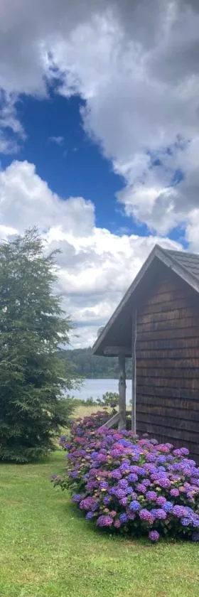 Antuquelen Lodge Cabañas，位于弗鲁蒂亚尔的酒店