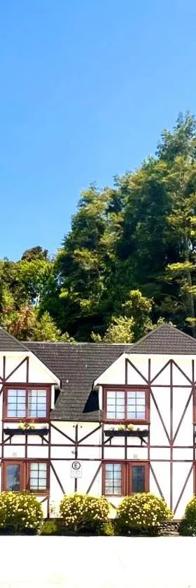 Hotel Frutillar，位于弗鲁蒂亚尔的酒店
