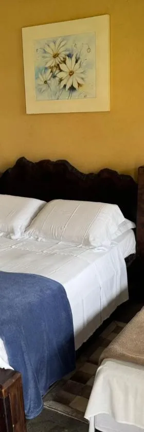 Apartamento na Fazenda c/ Piscina Termica，位于Palmeira的酒店
