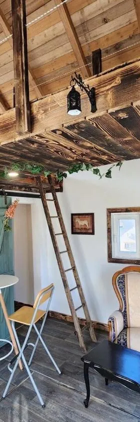 Chalet de la Comté，位于勒蒂约的酒店