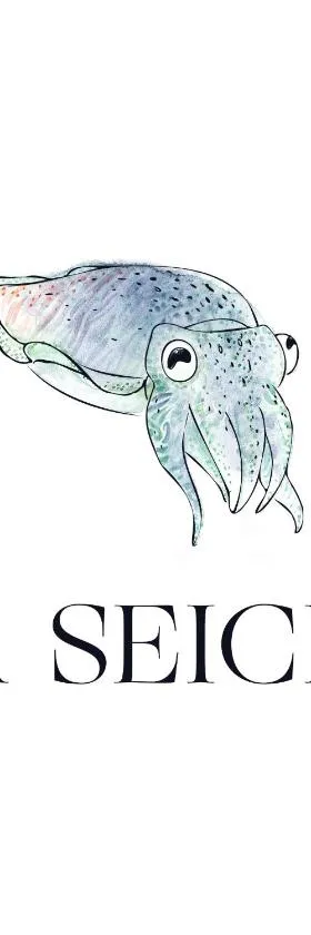 La seiche，位于克勒伊斯贝尔亨的酒店