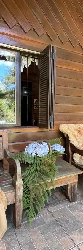 Casa da Araucaria nos Alpes de São Francisco，位于圣弗朗西斯科-迪保拉的酒店