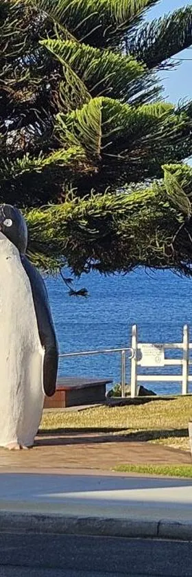 Penguin Retreat，位于彭古因的酒店