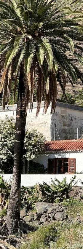 Casita El Molino im grünen Valle Gran Rey，位于巴耶格兰雷伊的酒店
