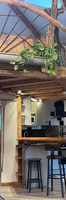 La cabane a Joseph，位于阿列日河畔的塔拉斯孔的酒店