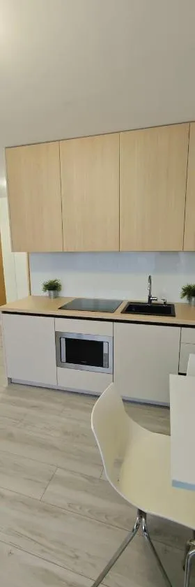 Korczaka Apartment，位于埃尔布隆格的酒店