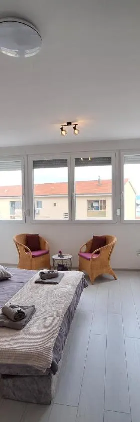 Mystic Grey Studio Apartment，位于普洛切的酒店