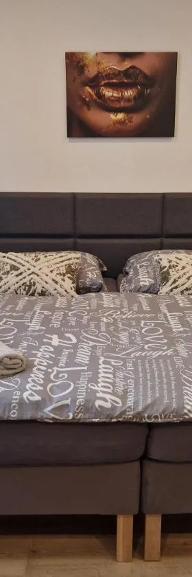 Černá Růže- apartmán 2，位于比尔森的酒店