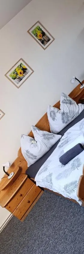 Apartmán Černá v Pošumaví Adam a Eva，位于塞尔纳珀苏马维的酒店
