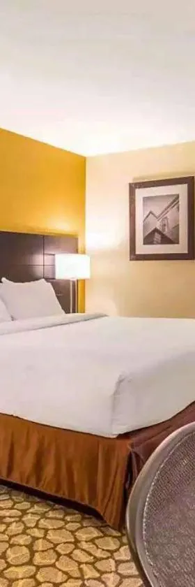 Ramada by Wyndham Santee I-95，位于桑蒂的酒店