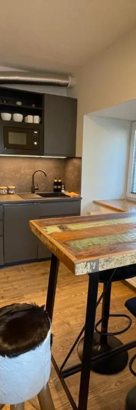 Apartment NAVI- Modern studio in Krkonoše foothills，位于Staré Buky的酒店