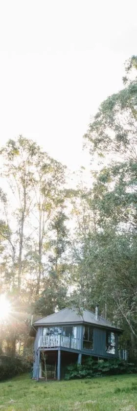 Bluegums Cabins Barrington Tops，位于Bandon Grove的酒店