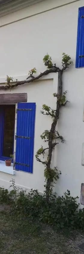Le logis du heron，位于库隆的酒店