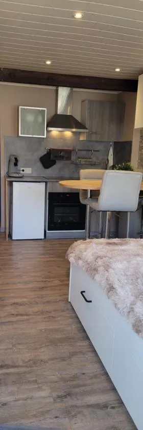 Studio cabine face au Cambre d'aze，位于圣皮耶尔代勒福尔卡的酒店