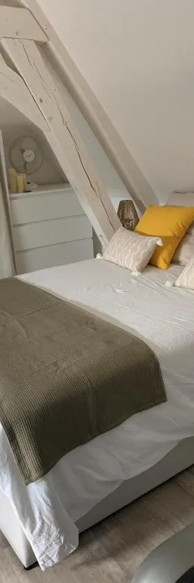 Charmant et cosy appartement，位于诺让莱罗特鲁的酒店