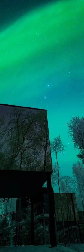 Silver Birch Resort Lapland，位于Rovaniemi的酒店