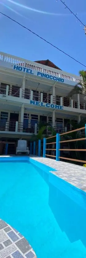 Hotel y Restaurante Pinocchio，位于圣佩德罗拉拉古纳的酒店