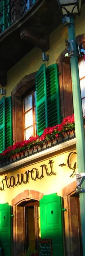 Logis Hôtel-Restaurant Aux Trois Roses，位于拉佩蒂特皮耶尔的酒店