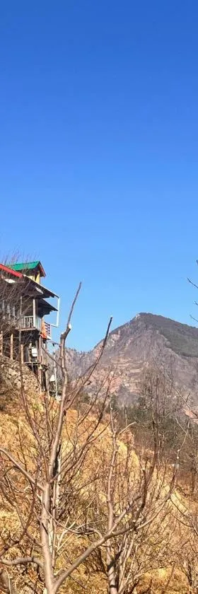 Apple valley homestay shanghar，位于Shangarh的酒店