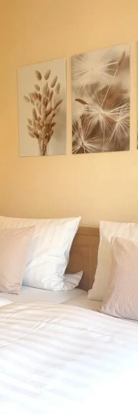 Hotel-Pension Hommen，位于科布伦茨的酒店