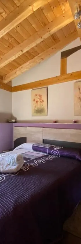 Casa Rural María y Daniel，位于Castrillo de Duero的酒店