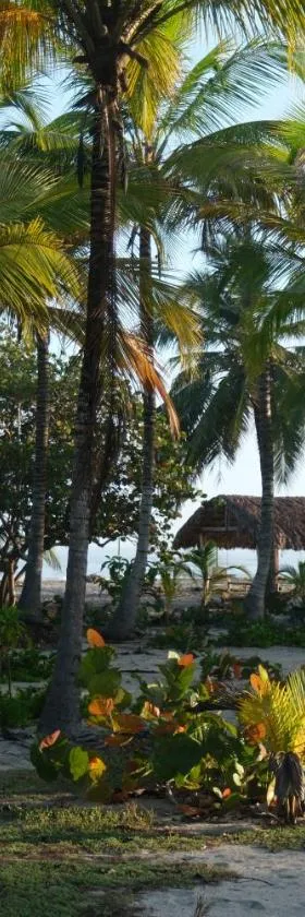 Hotel Playa Bonita Tayrona，位于伯里塔卡的酒店