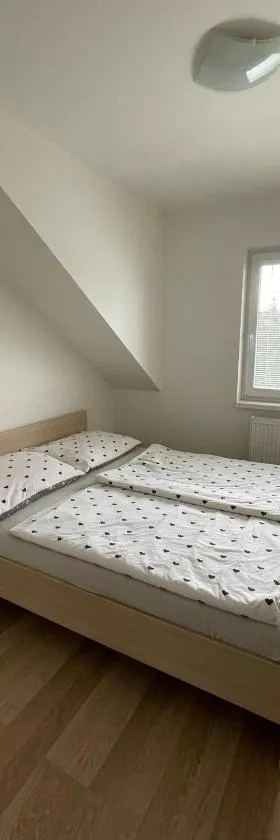 Sladký apartmán，位于杰多维尼切的酒店