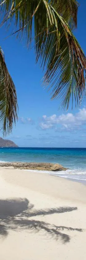 Carambola Beach Resort St. Croix, US Virgin Islands，位于North Star的酒店