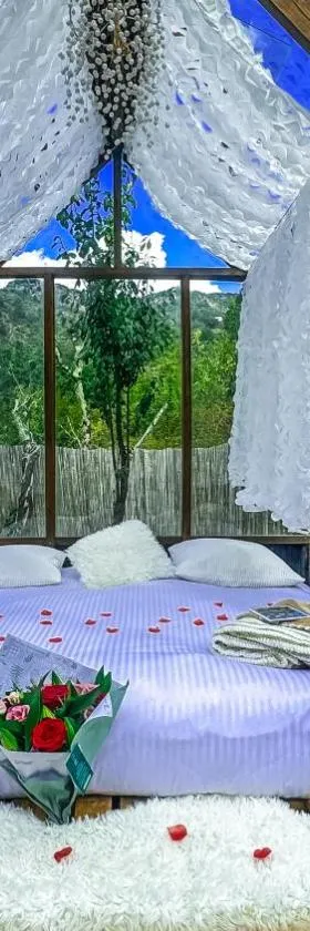 Chalet en verre sous une pluie étoilée，位于Lantosque的酒店