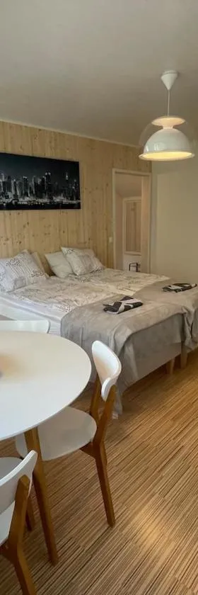 Stylish home in Tikkakoski，位于Tikkakoski的酒店