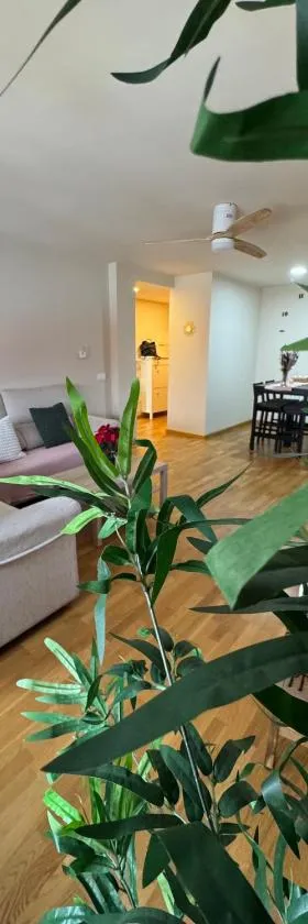 Apartamentos Suites Iscar，位于Iscar的酒店