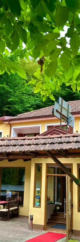 Motel Stovrela，位于察津的酒店