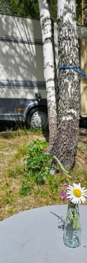 Caravan on eco farm with external bathroom - Bjorngarden，位于孙讷的酒店
