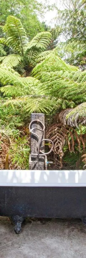 Boutique Country Retreat -Outdoor bath，位于汉密尔顿的酒店