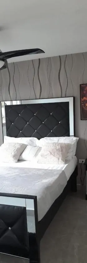 Deluxe One Bedroom Apartment in Kingston，位于金斯敦的酒店