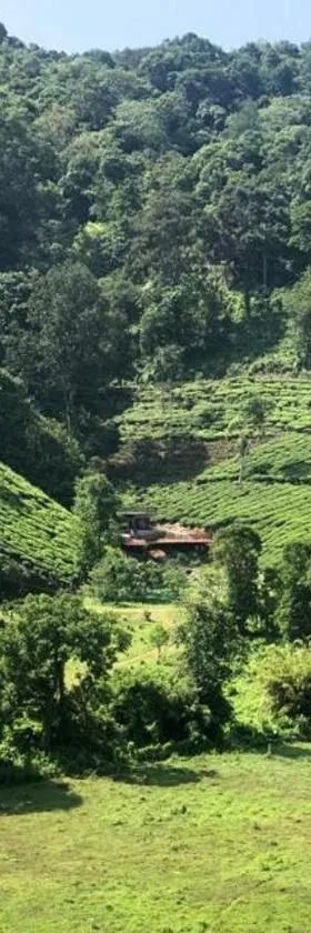 Janiro Tea Trees Villas，位于维特利的酒店
