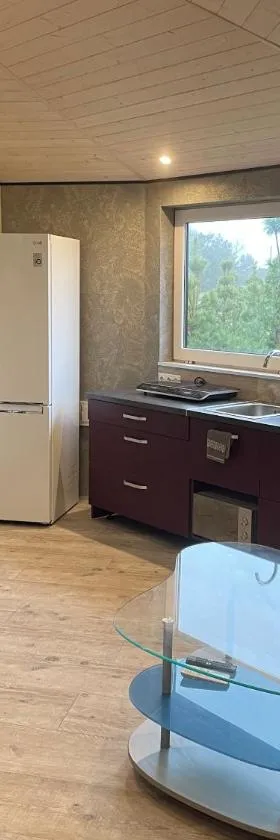 Feniksiukas，位于Agluonėnai的酒店
