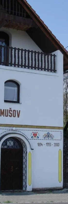 Penzion sklípek Mušov，位于帕索尔维基的酒店