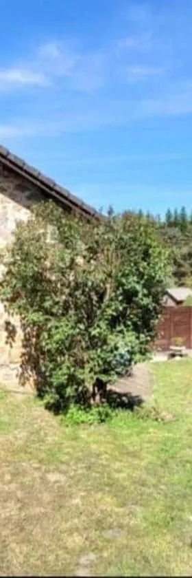La Coquette du Bois - Wifi, Cosy, Familial, Calme, Bord de forêt，位于Chenereilles的酒店