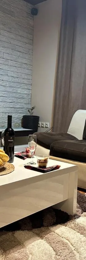 Apartman Centrum，位于茹帕尼亚的酒店