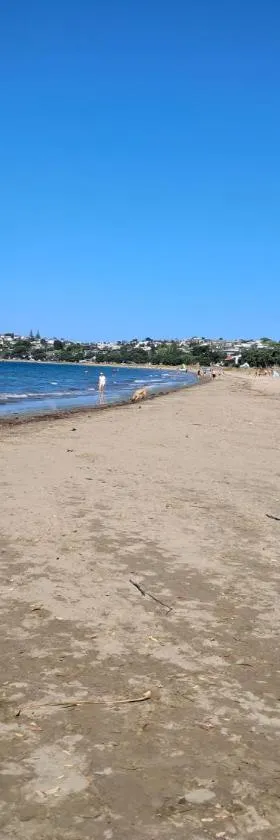 Manly Beach Guest House NZ，位于旺阿帕劳阿的酒店