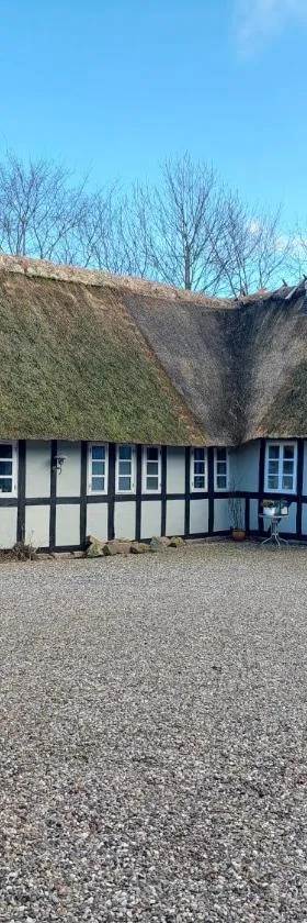 Krogsgaardens Bed and Breakfast，位于欧登塞的酒店