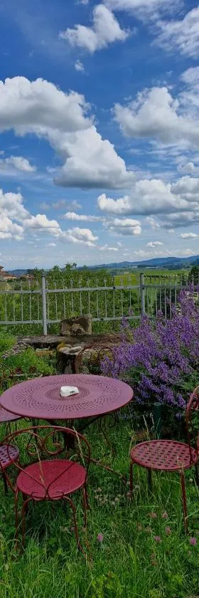 La Roue, logement indépendant, jolie vue，位于Vindry-sur-Turdine的酒店