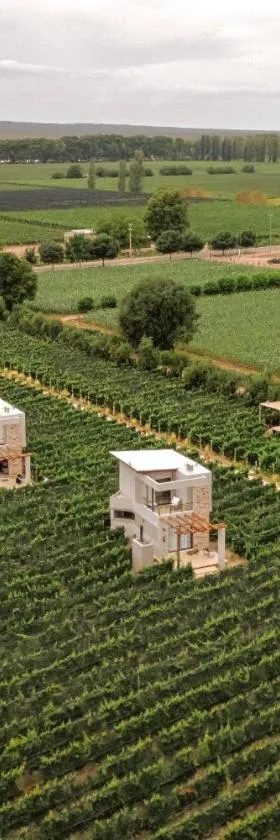 Agrelo Vines Lodge，位于Agrelo的酒店