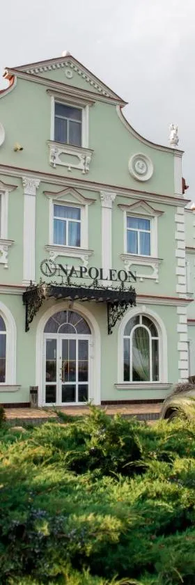 Hotel Napoleon，位于Wróblew的酒店