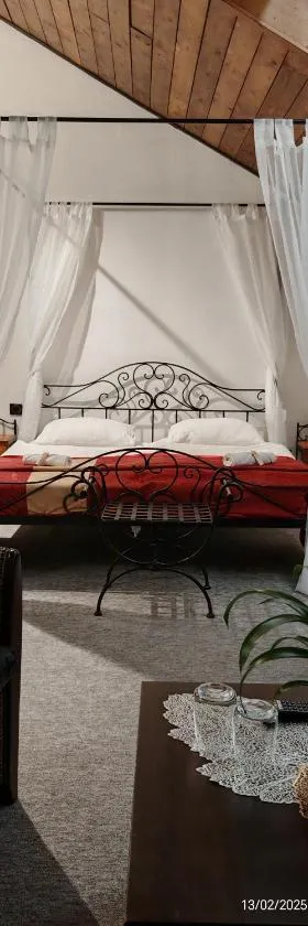 Hotel Plzeňský Dvůr，位于弗里代克-米斯泰克的酒店